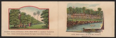 Hotel Trade Card (värillinen kaiverrus) tekijältä American School