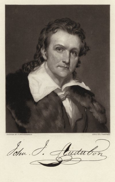 John James Audubon tekijältä American School