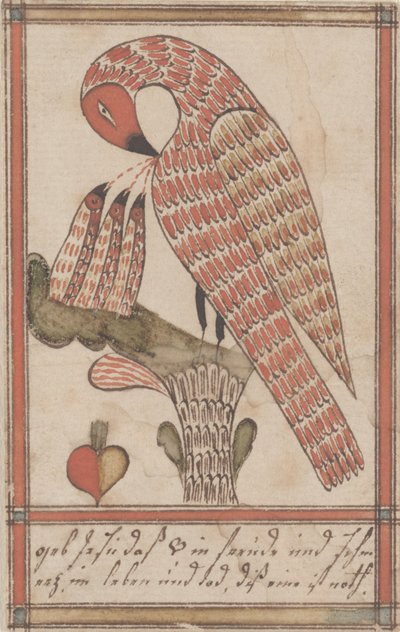 Pelikaani hurskaudessaan, n. 1800 (muste ja wc paperilla) tekijältä American School