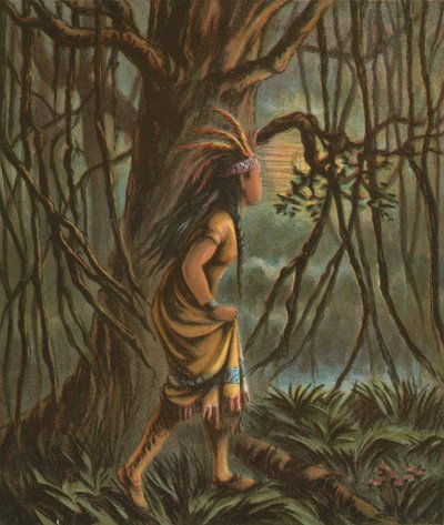Pocahontas tekijältä American School
