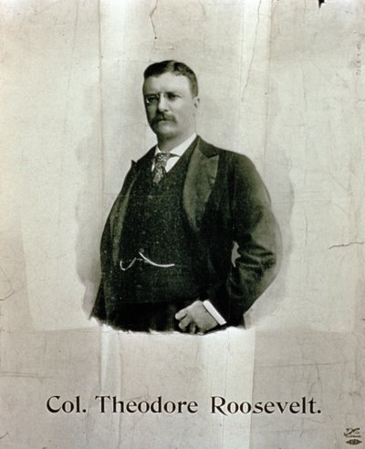 Eversti Theodore Rooseveltin muotokuva tekijältä American School