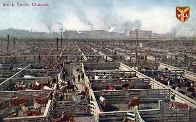 Postikortti, joka kuvaa Chicagon varastopihoja ja teurastamoja, n. 1910 (värillinen kuva) tekijältä American School