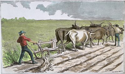 Sodbusters of the American West, n. 1880 (värillinen kaiverrus) tekijältä American School