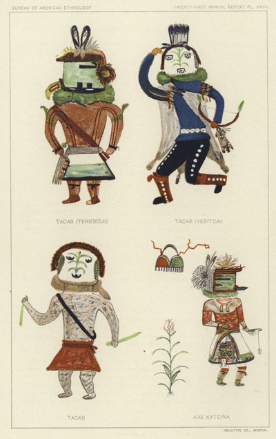 Tacab (Tenebidji), Tacas (Yebitcai), Tacab, Kae Katcina (väriliitos). tekijältä American School