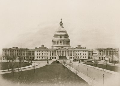 The Capitol, Washington (syväpaino) tekijältä American School