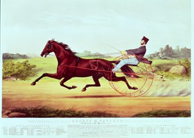 Juhlittu hevonen, George M. Patchen, The Champion of the Turf, kaiverrus Nathaniel Currier (1813-88) ja James Merritt Ives (1824-95), 1860 tekijältä American School