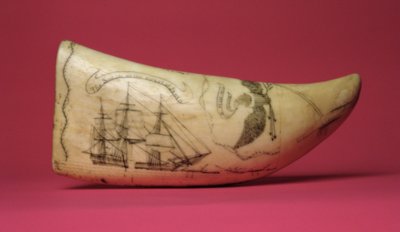 Susan Japanin rannikolla Scrimshaw (hammas) tekijältä American School