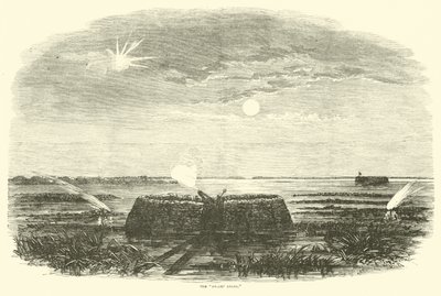 Suonenkeli, elokuu 1863 tekijältä American School