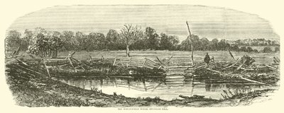 Vehnäpelto, jossa Reynolds kaatui, heinäkuussa 1863 tekijältä American School