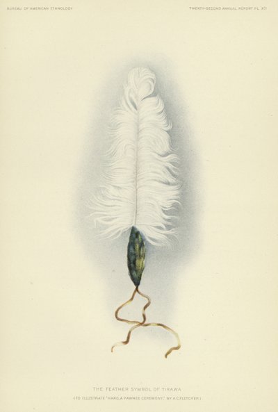 Tirawan höyhensymboli (värilitografia) tekijältä American School