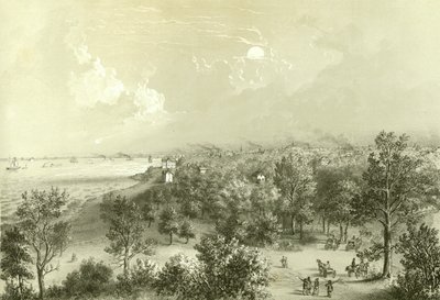 Näkymä Lake View Housesta, Chicago Illustrated, James W. Sheahanin kirjalliset kuvaukset, julkaisija Jevne & Almini, Chicago, 1866-67 tekijältä American School