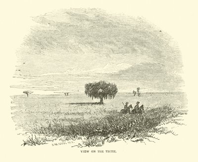View on the Teche, huhtikuu 1863 tekijältä American School