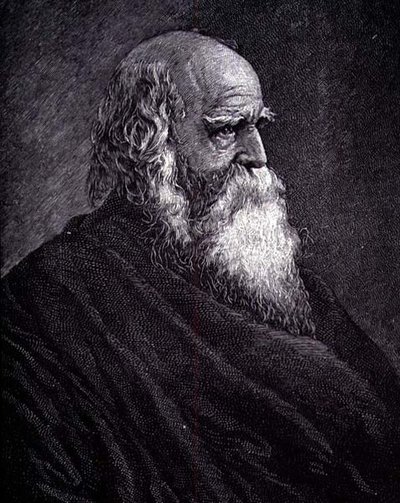 William Cullen Bryant (kaiverrus) tekijältä American School