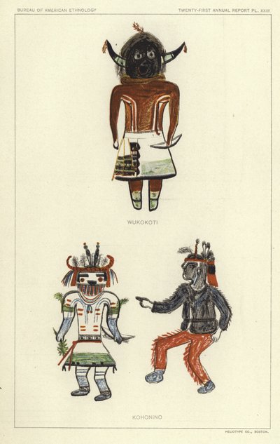 Wukokoti, Kohonino (colour litho) tekijältä American School