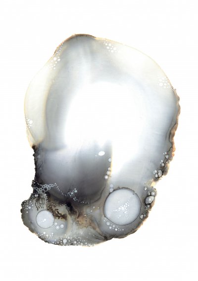 Näyte XI tekijältä Amy Louise Baker