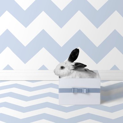 Puput 06, 2018 (valokuvaus) tekijältä Ana Carolina Tavares Mizrahi