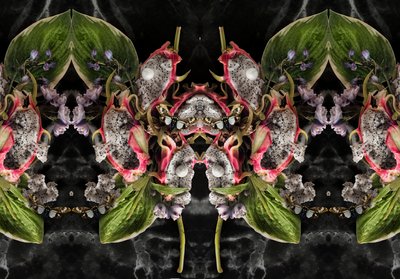 Eve_01, 2016 (Valokuvaus) tekijältä Ana Carolina Tavares Mizrahi