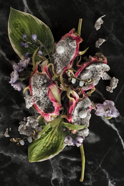 Eve_08, 2016 (Valokuvaus) tekijältä Ana Carolina Tavares Mizrahi