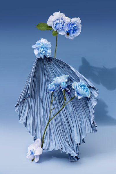 Ikebana 03, 2018 (valokuvaus) tekijältä Ana Carolina Tavares Mizrahi