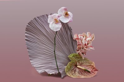 Ikebana 12, 2018 (valokuvaus) tekijältä Ana Carolina Tavares Mizrahi