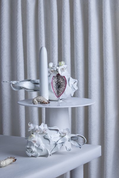 The _Farewell_Party_01, 2016 (valokuvaus) tekijältä Ana Carolina Tavares Mizrahi