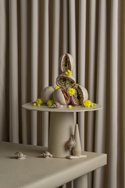 The _Farewell_Party_04, 2016 (valokuvaus) tekijältä Ana Carolina Tavares Mizrahi