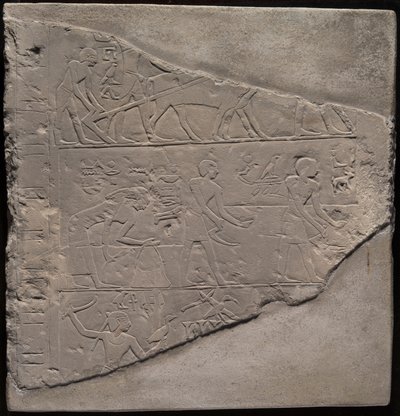 Kyntöä, sadonkorjuuta ja karjanhoitoa kuvaavan stellikuvan katkelma. tekijältä Ancient Egyptian