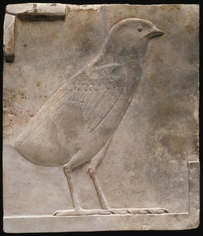 Viiriäisen poikasia kuvaava laatta tekijältä Ancient Egyptian