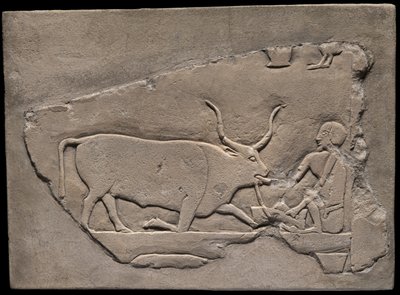 Paimentolaismiestä esittävä seinän katkelma haudasta tekijältä Ancient Egyptian