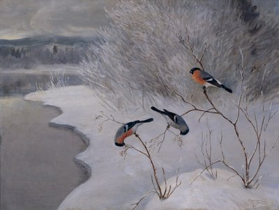 Bullfinches tekijältä Anders Kongsrud