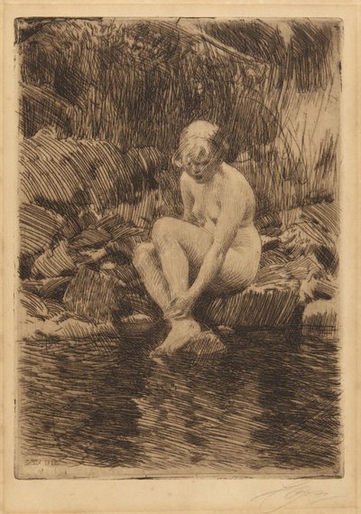 Dagmar tekijältä Anders Leonard Zorn