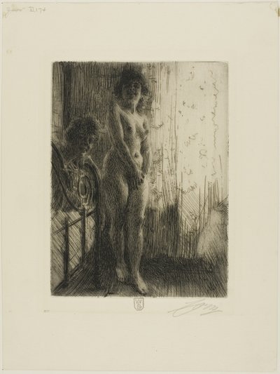 Pimeä Kulma tekijältä Anders Leonard Zorn