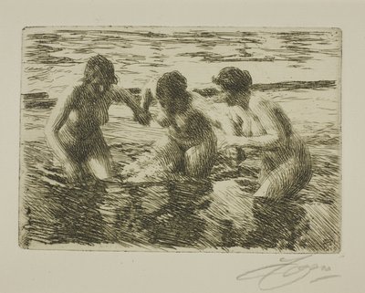 Vastavirtaan tekijältä Anders Leonard Zorn