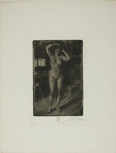 Anna hoitaa hiuksiaan tekijältä Anders Leonard Zorn