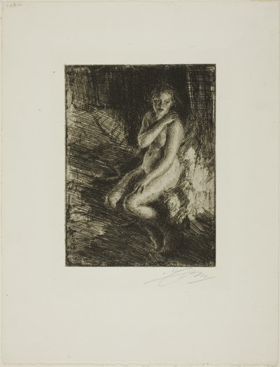 Berit tekijältä Anders Leonard Zorn