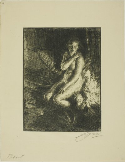 Berit tekijältä Anders Leonard Zorn