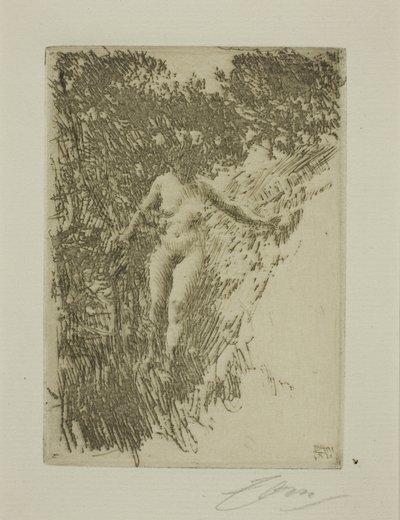 Brushwood tekijältä Anders Leonard Zorn