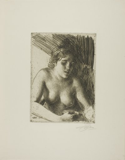 Rintakuva tekijältä Anders Leonard Zorn