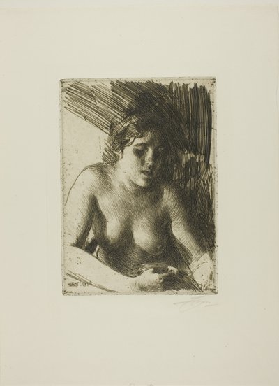 Rintakuva tekijältä Anders Leonard Zorn