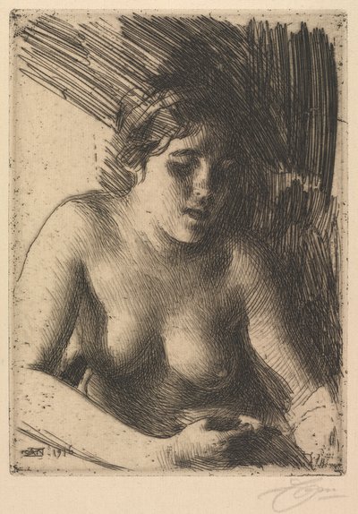 Rintakuva tekijältä Anders Leonard Zorn