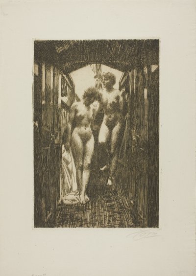 Mökki tekijältä Anders Leonard Zorn