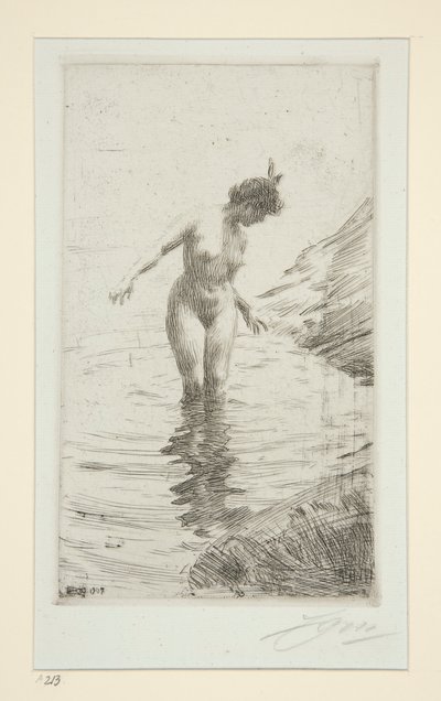 ympyrät d tekijältä Anders Leonard Zorn