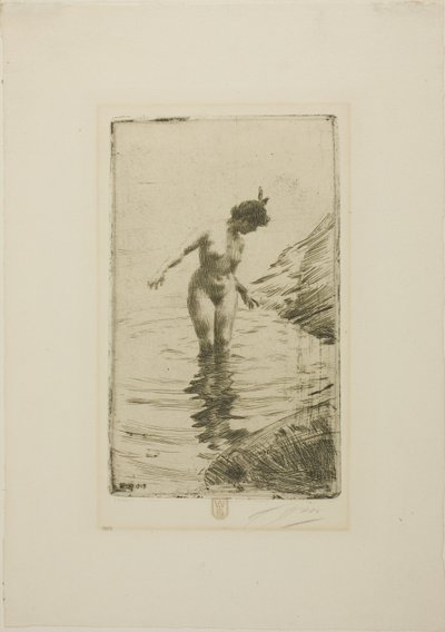Veden ympyrät II tekijältä Anders Zorn