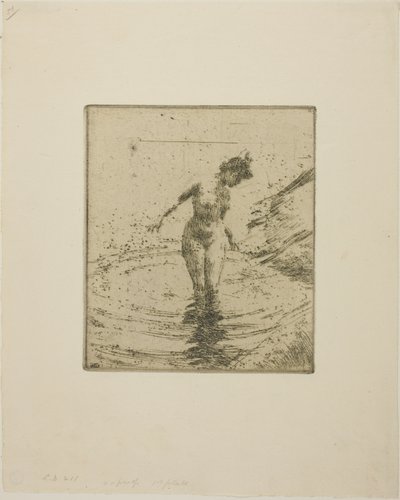 Veden ympyrät I tekijältä Anders Zorn