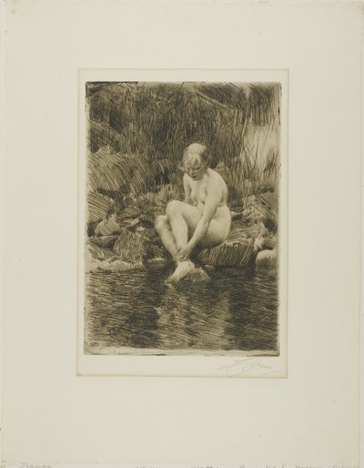 Dagmar tekijältä Anders Leonard Zorn