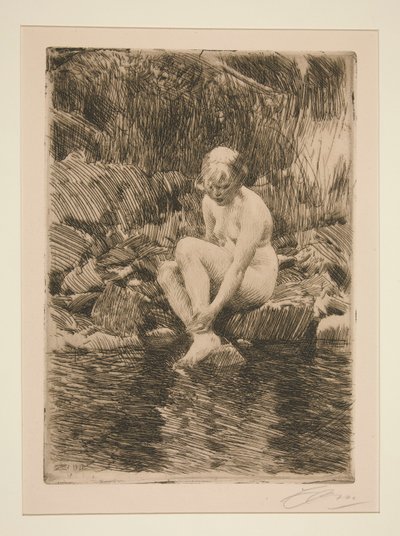 Dagmar tekijältä Anders Leonard Zorn