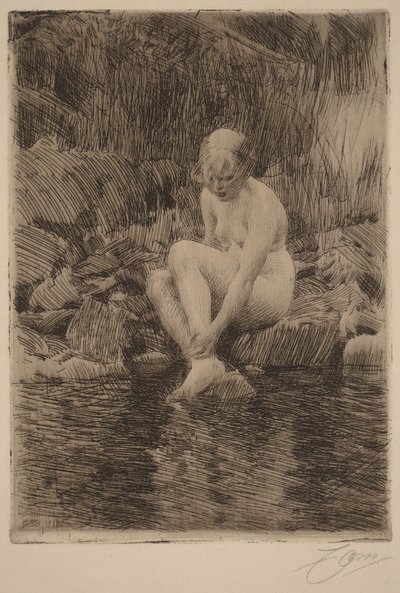  tekijältä Anders Zorn