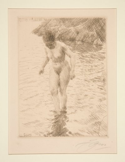 dollaria tekijältä Anders Leonard Zorn