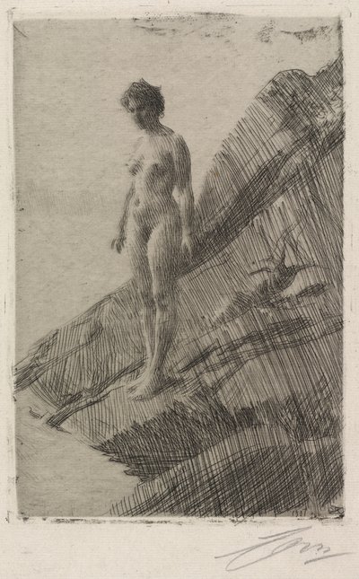 Tämä se on tekijältä Anders Zorn