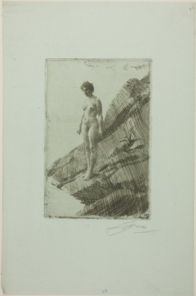 Tämä se on tekijältä Anders Leonard Zorn